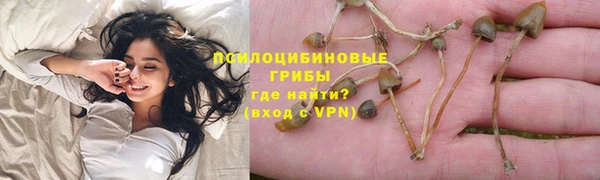 трава Балабаново