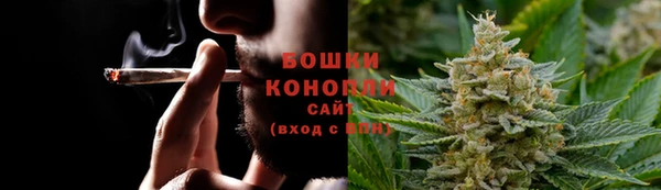 трава Аркадак