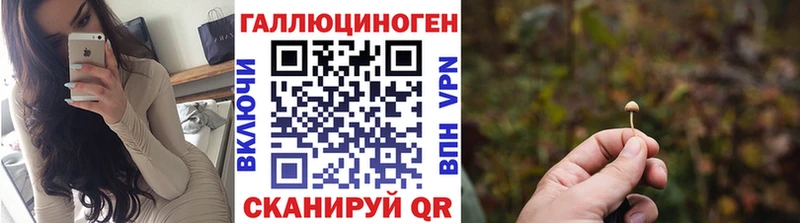 Псилоцибиновые грибы Cubensis  omg ТОР  Валдай 